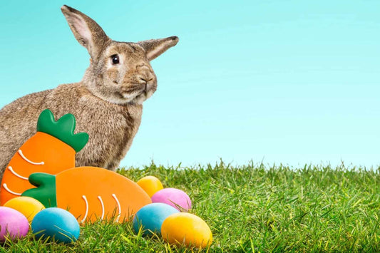 Easter Gift Baskets Ideas for Kids, Teens & Adults