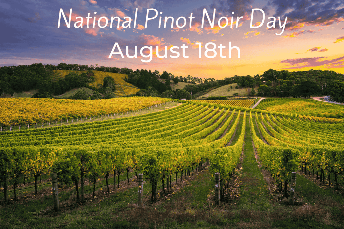 Top 7 Pinot Noir Wines to Sip This National Pinot Noir Day