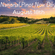 Top 7 Pinot Noir Wines to Sip This National Pinot Noir Day