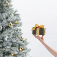Holiday Gifts