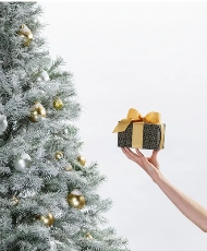Holiday Gifts